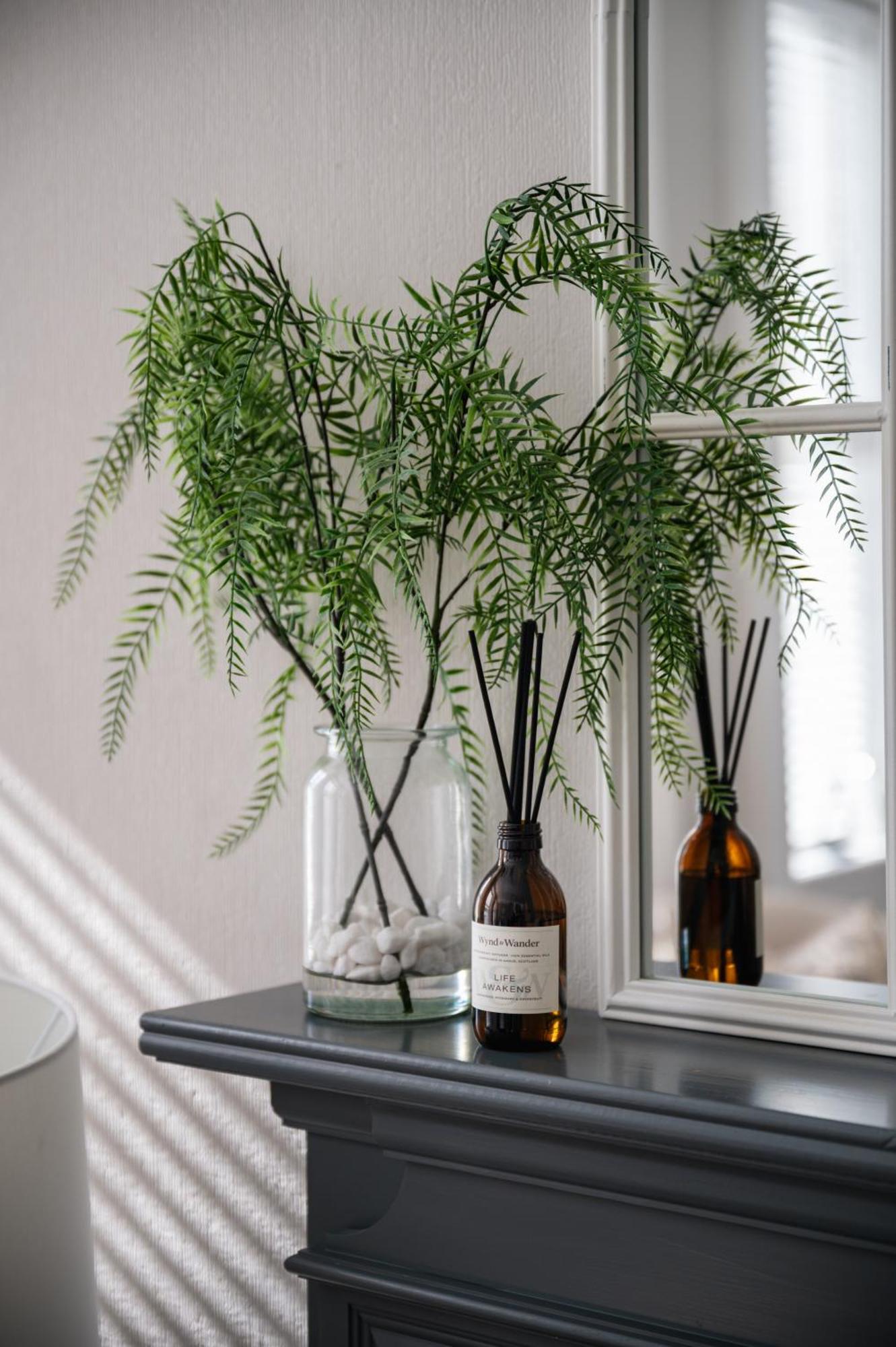Lovely Entire Flat In Birnam, Neighbouring Dunkeld Exteriör bild